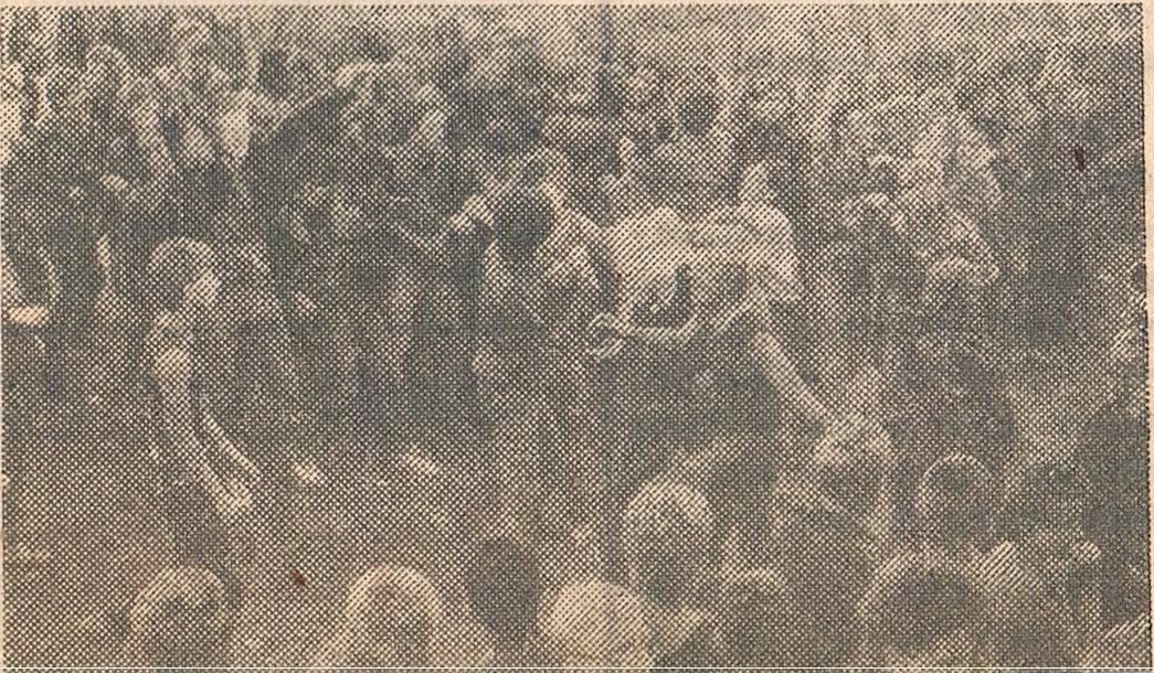 Jarocin 84 — publiczność festiwalu