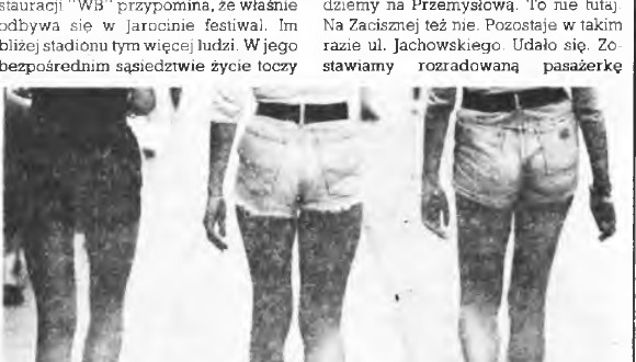 Fotografia z artykułu NOC FESTIWALOWA Z POLICYJNEGO SAMOCHODU